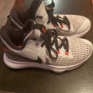 Lebron James witness iv